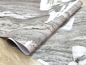 картинка Термопленка в рулоне, толщина 0,65мм*1,2м*20м, мод STP5539-1 — Великий Путь